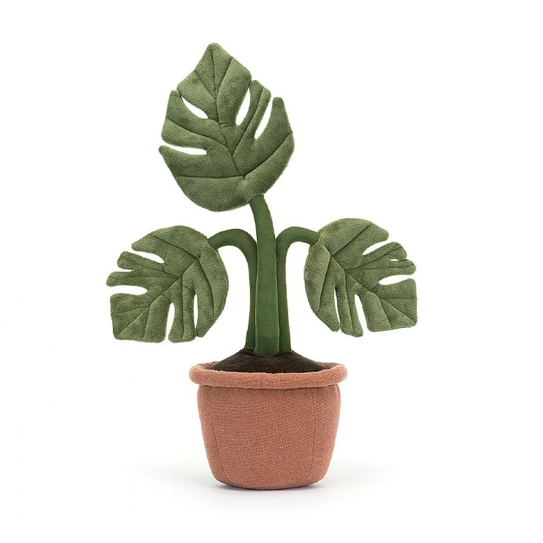 Amuseable Monstera Plant 5 Amuseable Monstera Plant - Image 3