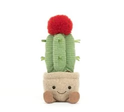 Amuseable Moon Cactus -Stuffed Toys A6MCA 4