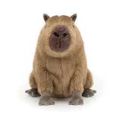 Clyde Capybara -Stuffed Toys CLY6C 4