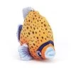 Fishiful Orange 2 Fishiful Orange -Stuffed Toys FISH3O