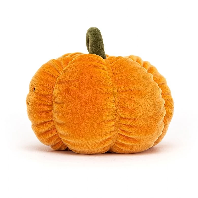 Vivacious Vegetable Pumpkin 4 Vivacious Vegetable Pumpkin - Image 2